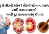 પથરી દૂર કરવાના ઉપાયો - કિડની સ્ટોન - પથરીની સારવાર - પથરી ના ઉપાય - પથરી ની દવા - કિડનીની પથરી ની દવા - pathari in gujarati - pathari mate dava -pathari ni dava gujarati ma