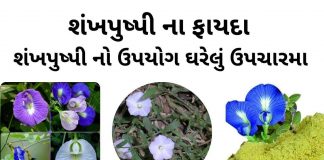 શંખપુષ્પી ના ફાયદા - શંખપુષ્પી નો ઉપયોગ ઘરેલું ઉપચારમા - shankhpushpi na fayda - shankhpushpi no upyog