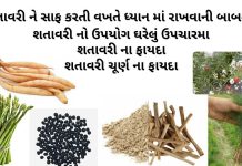 શતાવરી ના ફાયદા - શતાવરી ઔષધી નો ઉપયોગ - શતાવરી ચૂર્ણ ના ફાયદા - શતાવરી નો ઉપયોગ - shatavari na fayda - shatavari na faida in gujarati - shatavari no upyog gujarati ma