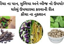 કૌચા નો ઉપયોગ - કૌચા બીજ નો ઉપયોગ - કવચ નો ઉપયોગ - કવચ ના બીજ નો ઉપયોગ - kaunch na mudiya no upyog - kaunch na fayda - kaunch churna benefits in gujarati