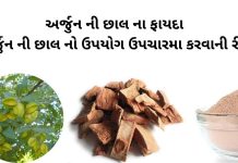 અર્જુન ની છાલ ના ફાયદા - અર્જુન ની છાલ નો ઉપયોગ - arjun chhal na fayda - arjun chhal no upyog
