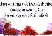 કેસર ના ફાયદા - kesar na fayda - કેસર નો ઉપયોગ - kesar no upyog - કેસર ના પ્રકાર