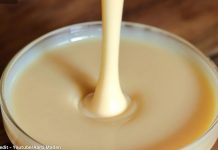 કન્ડેન્સ મિલ્ક બનાવવાની રીત - condensed milk banavani rit - condensed milk recipe in gujarati