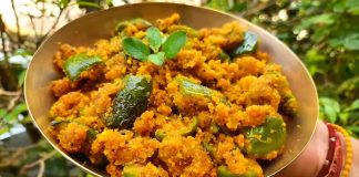 કેપ્સીકમ બેસન નું શાક બનાવવાની રીત - capsicum besan nu shaak banavani rit - capsicum besan nu shaak recipe in gujarati - capsicum besan nu shaak - કેપ્સીકમ બેસન નું શાક