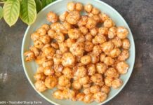 મખાના ચીક્કી બનાવવાની રીત - Makhana ni chikki banavani rit - caramel makhana recipe in gujarati