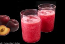 આલુબુખારા જ્યુસ બનાવવાની રીત - plum juice banavani rit - plum juice recipe in gujarati