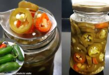 જેલોપિનો નું અથાણું બનાવવાની રીત - Jalapeno nu thanau banavani rit - Jalapeno Pickle recipe in gujarati