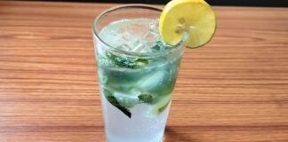 વર્જિન મોજીતો બનાવવાની રીત - virgin mojito banavani rit - virgin mojito recipe in gujarati