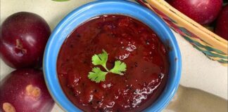 આલુંબુખારા ની ચટણી બનાવવાની રીત - Aaloobukhra ni chutney banavani rit - Aaloobukhra chutney recipe in gujarati