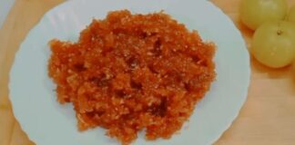 આમળા નો છૂંદો - Aamla no chundo - આમળા નો છૂંદો બનાવવાની રીત - Aamla no chundo banavani rit