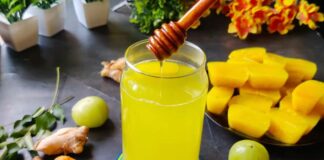 Amla shots - આમળા શોર્ટ્સ