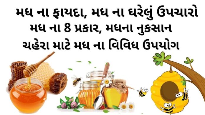 Madh na fayda in Gujarati મધ ના ફાયદા - મધ ના ઘરેલું ઉપચારો - મધ ના પ્રકાર - મધના નુકસાન - Madh na fayda in Gujarati - honey benefits in Gujarati