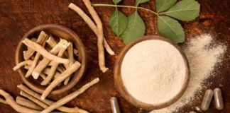 અશ્વગંધા(Ashwagandha) Covid19 ના ઈલાજ મા કારગર છે IIT Delhi એ કહ્યું Ashwagandha Aushadhi