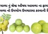 આમળા ના ફાયદા | આમળા નો ઉપયોગ | amda na fayda | amda no upyog આમળા ખાવાના ફાયદા - આમળા નો ઉપયોગ - આમળા ના ફાયદા - amda na fayda - આમળા વિશે માહિતી - amda no upyog
