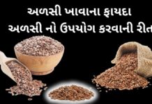 અળસી ખાવાના ફાયદા | અળસી નો ઉપયોગ કરવાની રીત – Alsi Khavana Fayda flax seeds health benefits in Gujarati - alsi khavana fayda - અળસી ખાવાના ફાયદા