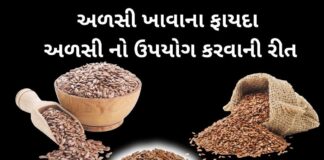 અળસી ખાવાના ફાયદા | અળસી નો ઉપયોગ કરવાની રીત – Alsi Khavana Fayda flax seeds health benefits in Gujarati - alsi khavana fayda - અળસી ખાવાના ફાયદા