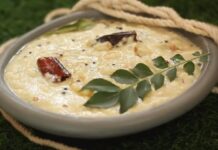 ઘરે બનાવો સાઉથ ઇન્ડિયન કોકોનેટ ચટણી – Coconut Chutney South Indian White Coconut Chutney - coconut chutney recipe in gujarati - કોકોનેટ ચટણી