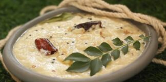 ઘરે બનાવો સાઉથ ઇન્ડિયન કોકોનેટ ચટણી – Coconut Chutney South Indian White Coconut Chutney - coconut chutney recipe in gujarati - કોકોનેટ ચટણી