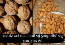અખરોટ અને બદામ માથી કયું ડ્રાયફ્રૂટ સૌથી વધુ ફાયદાકારક છે? – dry fruit અખરોટ અને બદામ માથી કયું ડ્રાયફ્રૂટ સૌથી વધુ ફાયદાકારક છે - dry fruit