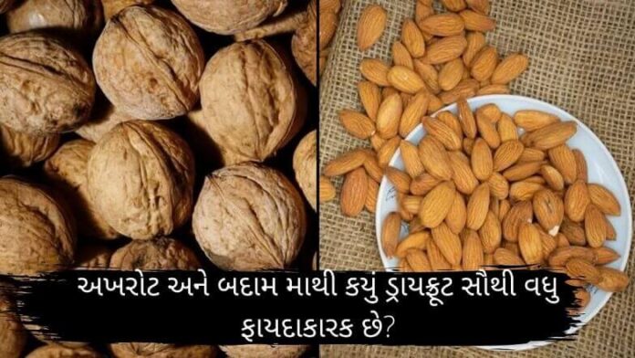 અખરોટ અને બદામ માથી કયું ડ્રાયફ્રૂટ સૌથી વધુ ફાયદાકારક છે અખરોટ અને બદામ માથી કયું ડ્રાયફ્રૂટ સૌથી વધુ ફાયદાકારક છે - dry fruit