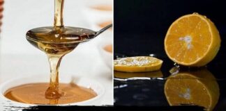 મધ અને લીંબુ નું સેવન કરવાના પાંચ ફાયદા મધ અને લીંબુ નું સેવન કરવાના પાંચ ફાયદા - લીંબુ અને મધ નું સેવન કરવાના પાંચ ફાયદા - મધ અને લીંબુ - Benefits of Honey and Lemon