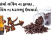 લવિંગ ના ફાયદા | લવિંગ ના ઘરગથ્થું ઉપચારો | Laving na Fayda Laving na Fayda in Gujarati- લવિંગ ના ફાયદા - health benefits of Cloves in Gujarati