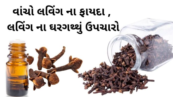 helath benefits of Cloves in Gujarati Laving na Fayda in Gujarati- લવિંગ ના ફાયદા - health benefits of Cloves in Gujarati