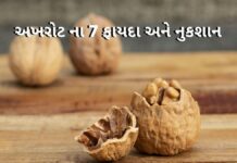 અખરોટ ના 7 ફાયદા અને નુકશાન Akhrot na Fayda in Gujarati -- અખરોટ ના ફાયદા - Akhrot benefits in Gujarati - Akhrot nukshan in Gujarati