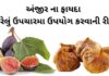 અંજીર ના ફાયદા તેમજ ઘરેલું ઉપચારમા ઉપયોગ કરવાની રીત | Anjir Na Fayda Anjir na Fayda in Gujarati - અંજીર ના ફાયદા - Anjir Health Benefits in Gujarati - Fig Health benefits in Gujarati