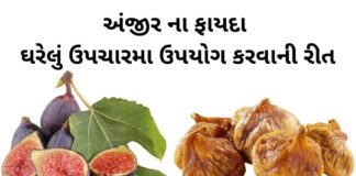 અંજીર ના ફાયદા તેમજ ઘરેલું ઉપચારમા ઉપયોગ કરવાની રીત | Anjir Na Fayda Anjir na Fayda in Gujarati - અંજીર ના ફાયદા - Anjir Health Benefits in Gujarati - Fig Health benefits in Gujarati