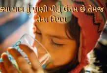 ક્યા પાત્ર નું પાણી પીવું ઉત્તમ છે તેમજ તેના નિયમ વિશે માહિતી Benefits of drinking water in different Vessels