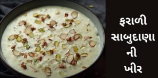વિડીયો: ફરાળી સાબુદાણા ની ખીર – Farali Sabudana Kheer Farali Sabudana Kheer Recipe in Gujarati - Faradi Sabudana khir Recipe In Gujarati - ફરાળી સાબુદાણા ની ખીર