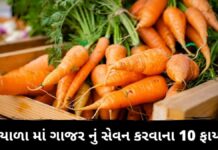 ગાજર નું સેવન કરવાના 10 ફાયદા – Gajar na fayda Gajar na fayda in Gujarati - Gajar Health Benefits in Gujarati - Gajar Benefits in Gujarati - Gajar na fayda - ગાજર ના ફાયદા