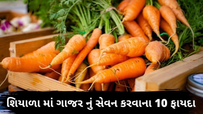 Gajar na fayda in Gujarati Gajar na fayda in Gujarati - Gajar Health Benefits in Gujarati - Gajar Benefits in Gujarati - Gajar na fayda - ગાજર ના ફાયદા
