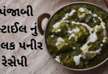 પંજાબી સ્ટાઈલ નું પાલક પનીર રેસેપી Palak Paneer Recipe in Gujarati - Palak Paneer Recipe - Panjabi style Palak Paneer Recipe - પાલક પનીર રેસીપી