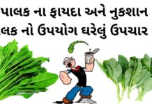 પાલક ના ફાયદા અને નુકશાન | પાલક નો ઉપયોગ ઘરેલું ઉપચાર મા Palak fayda in Gujarati - પાલક ના ફાયદા - પાલક ના નુકશાન - Palak na Fayda in Gujarati - Palak benefits in Gujarati