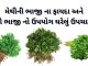 મેથીની ભાજી ના ફાયદા | મેથી ના ફાયદા | methi na fayda | methi bhaji na fayda મેથી ના ફાયદા - મેથીની ભાજી ના ફાયદા - મેથી ભાજી નો ઉપયોગ - methi na fayda in gujarati - methi na fayda gujarati ma - methi no upyog - methi bhaji na fayda gujarati ma