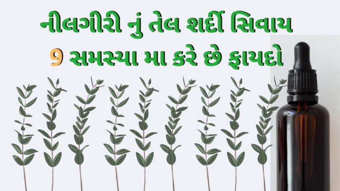 Nilgiri tel fayda in Gujarati Nilgiri tel fayda in Gujarati - નીલગીરી ના તેલ ના ફાયદા - benefist of Nilgiri tel in Gujarati