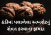 પલાળેલી અખરોટનું સેવન કરવાના ફાયદા – Paladel Akhrot paladel akhrot na fayda in gujarati - અખરોટનું સેવન કરવાના ફાયદા