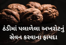 પલાળેલી અખરોટનું સેવન કરવાના ફાયદા – Paladel Akhrot paladel akhrot na fayda in gujarati - અખરોટનું સેવન કરવાના ફાયદા