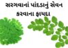 સરગવાના પાન ના ફાયદા  sargava na pan na fayda in Gujarati Drumstick leaves Benefits in Gujarati - સરગવાના પાન ના ફાયદા