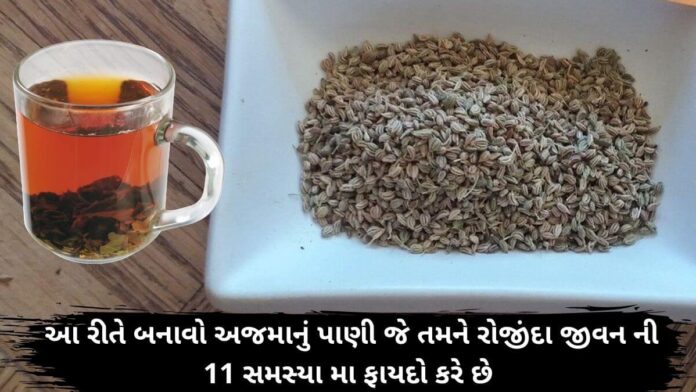 ajwain water benefits in gujarati - Ajma na pani na fayda ajwain water benefits in gujarati - Ajma na pani na fayda - અજમા ના પાણી ના ફાયદા - ajma nu pani