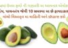એવોકાડો ના ફાયદા | avocado na Fayda | avocado benefits in gujarati avocado na Fayda - avocado benefits in Gujarati - health benefits of avocado in Gujarati - advantages and disadvantages of avocado in Gujarati - એવોકાડો ના ફાયદા