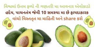 એવોકાડો ના ફાયદા | avocado na Fayda | avocado benefits in gujarati avocado na Fayda - avocado benefits in Gujarati - health benefits of avocado in Gujarati - advantages and disadvantages of avocado in Gujarati - એવોકાડો ના ફાયદા