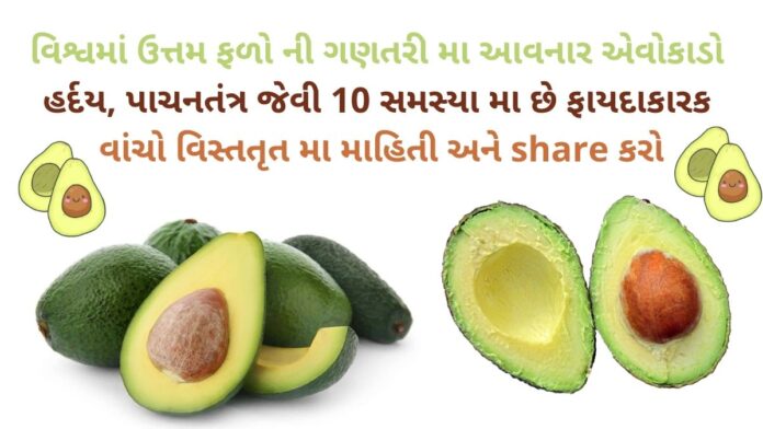 avocado na Fayda - avocado benefits in Gujarati - health benefits of avocado in Gujarati - advantages and disadvantages of avocado in Gujarati - એવોકાડો ના ફાયદા avocado na Fayda - avocado benefits in Gujarati - health benefits of avocado in Gujarati - advantages and disadvantages of avocado in Gujarati - એવોકાડો ના ફાયદા