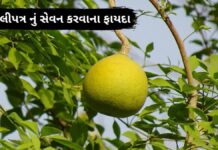 બીલીપત્ર નું સેવન કરવાના ફાયદા bel patra leaves benefits in Gujarati - બીલી ના ફાયદા - બીલીપત્ર ના ફાયદા - bel patra na faida - bilva patra leaves benefits in Gujarati