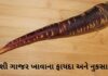 દેશી ગાજર – કાળા ગાજર ખાવાના ફાયદા અને નુકસાન | Deshi gajar na Fayda black carrot benefits in Gujarati - deshi gajar na fayda - દેશી ગાજર ના ફાયદા