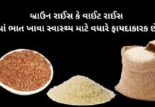 બ્રાઉન રાઈસ કે વાઈટ રાઈસ ક્યાં ભાત ખાવા સ્વાસ્થ્ય માટે વધારે ફાયદાકારક છે? બ્રાઉન રાઈસ ફાયદા - brown rice health benefits in Gujarati