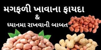 મગફળી ખાવાના ફાયદા અને ધ્યાનમા રાખવાની બાબત | Peanuts Benefits health benefits of peanuts in Gujarati - magfadi khavana na fayda - મગફળી ખાવાના ફાયદા - મગફળી ના ફાયદા