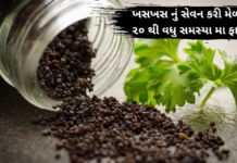 ખસખસ નું સેવન કરી મેળવો ૨૦ થી વધુ સમસ્યા મા ફાયદો – khaskhas na fayda khaskhas health benefits in Gujarati - ખસખસ ખાવાના ફાયદા - khaskhas na fayda – ખસખસ ના ફાયદા